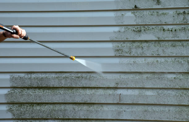 Trusted Dorr, MI Pressure Washing Services Experts